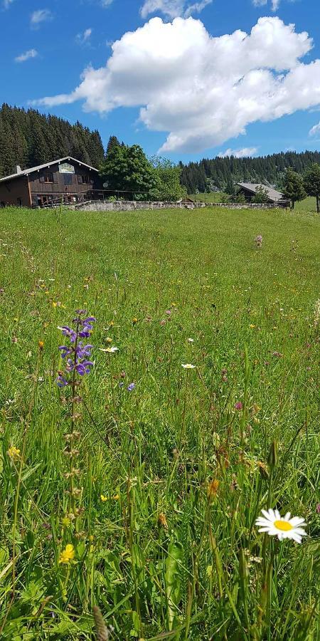 Gite Les Lanfiannes Thorens-Glieres Exterior photo