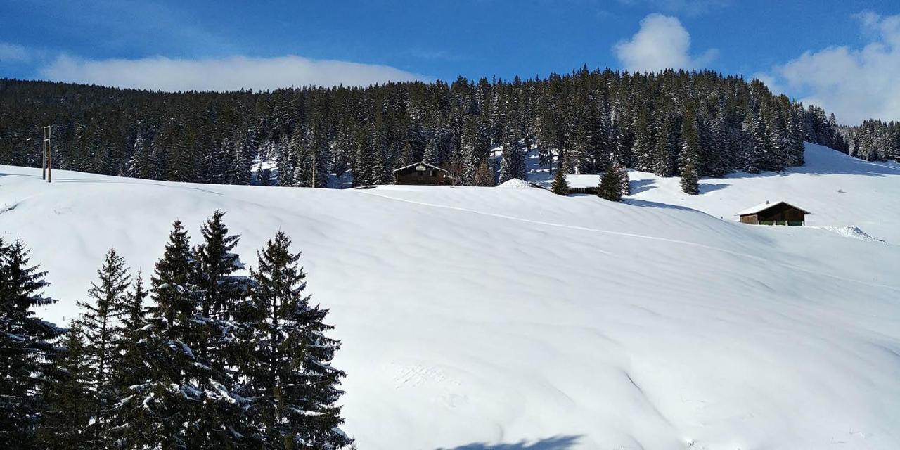 Gite Les Lanfiannes Thorens-Glieres Exterior photo