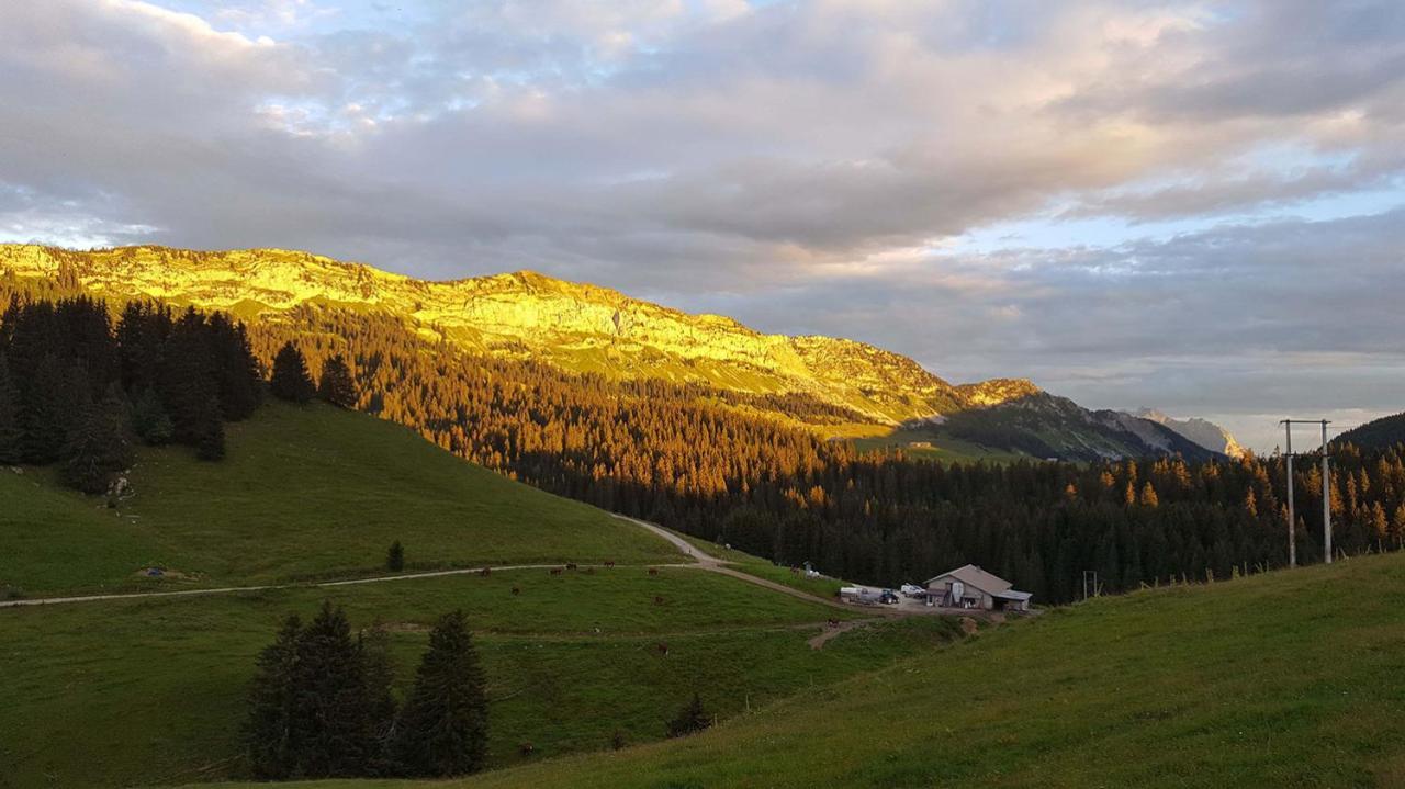 Gite Les Lanfiannes Thorens-Glieres Exterior photo